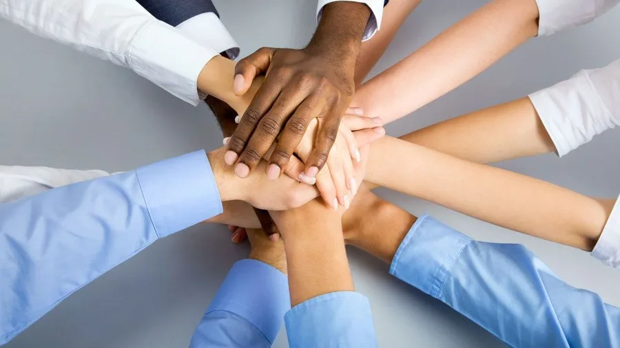 Institutional Partnerships
